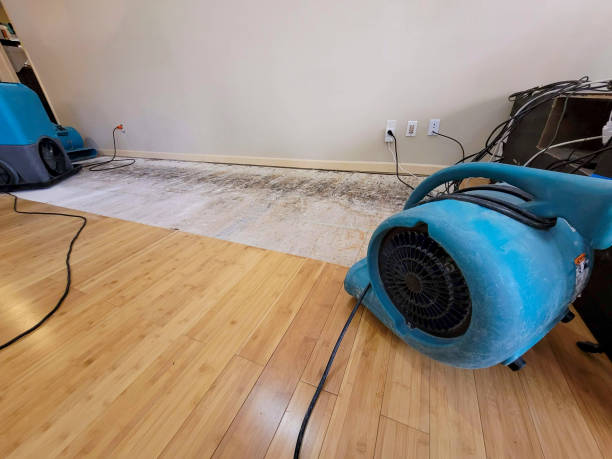Professional Flood Damage Cleanup technician working in Oregon, WI